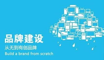 企業(yè)網(wǎng)絡(luò)推廣策略詳解與北京優(yōu)質(zhì)信息咨詢服務(wù)推薦